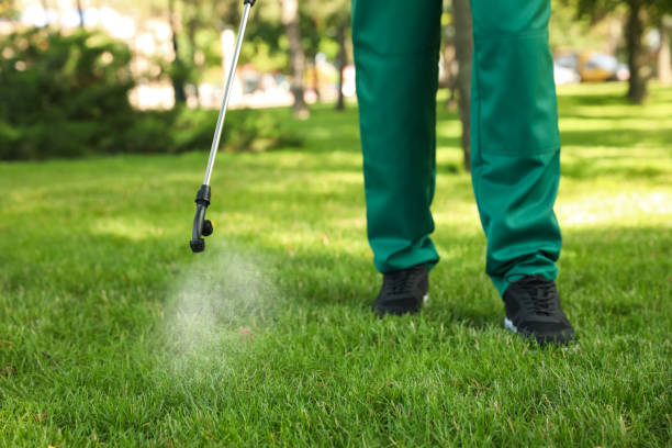 Best Best Pest Control Companies  in Schuylerville, NY
