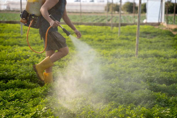 Best Best Pest Control Companies  in Schuylerville, NY