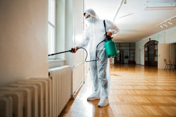 Professional Pest Control in Schuylerville, NY