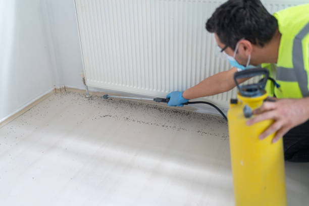 Best Exterminator Services  in Schuylerville, NY